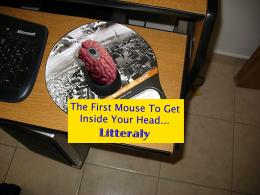 Smarty Mouse 